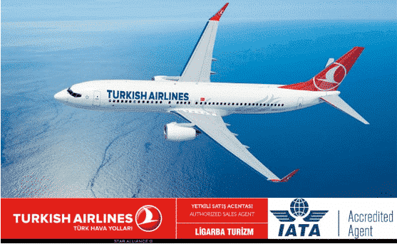 Ligarba Turizm - Uçak bileti - IATA