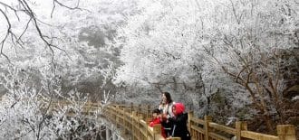 Çin’de donmuş ağaçların nefes kesen manzarası