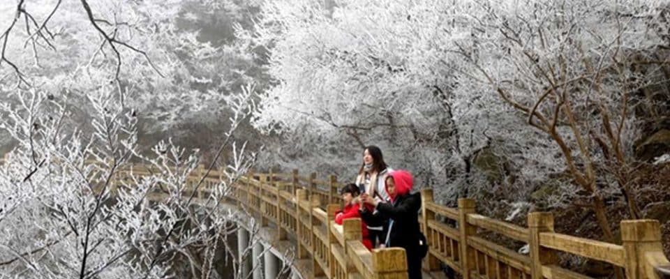Çin’de donmuş ağaçların nefes kesen manzarası