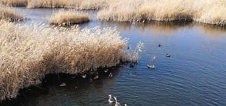 Baharın gelişiyle Çin’deki Qingtu Gölü’nün buzları eriyor