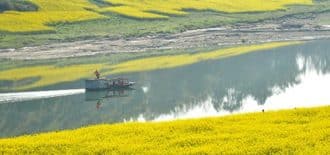 Çin’in Sichuan eyaletinde bahar manzarası