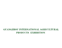 IAPFE Guangzhou